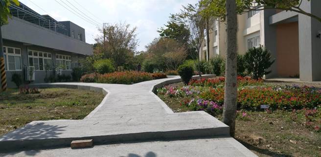 台南市玉井区公所美化图书馆小空地，打造成芒果树公园，兼具休憩与教育功能。（刘秀芬摄）