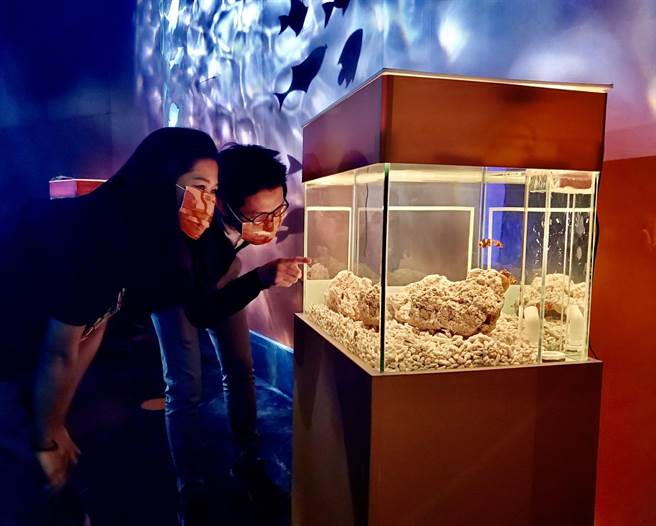 屏东海生馆配合「海洋本色」活动所推出的8款独家Q萌海洋系口罩，因色系粉嫩梦幻又可爱，在春节假期造成轰动。（谢佳潾摄）