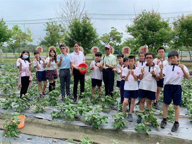 台南市官田国小结合在地文化推动食农教育。（南市府教育局提供／李宜杰台南传真）