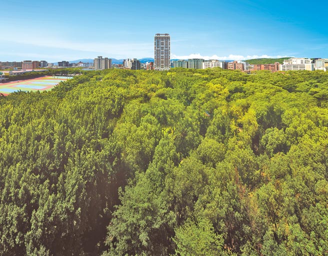 推出约4个月即销售8成的「仰士林」，可以看到为数眾多、逾30年枝叶茂盛的老树。（川腾建设提供）