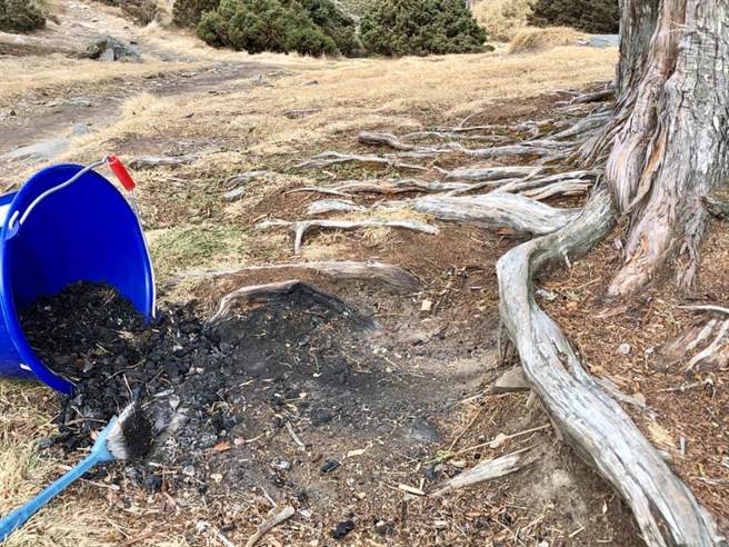 雪山翠池千年玉山圓柏根部竟有焦黑燒痕，疑似山友在樹下升火導致。(圖/摘自臉書社團 雪霸國家公園登山資訊分享站)