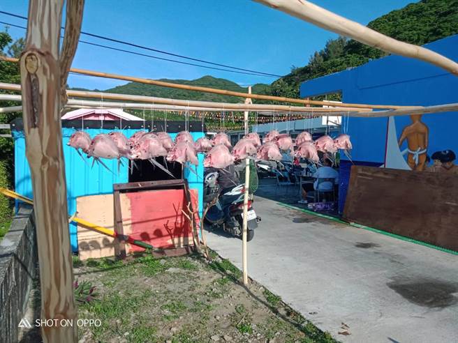 台東縣蘭嶼鄉紅頭村漁民20日夜間出海補飛魚，見大鯨魚好兆頭，天氣佳，果然漁穫滿滿。（民眾提供／蔡旻妤台東傳真）