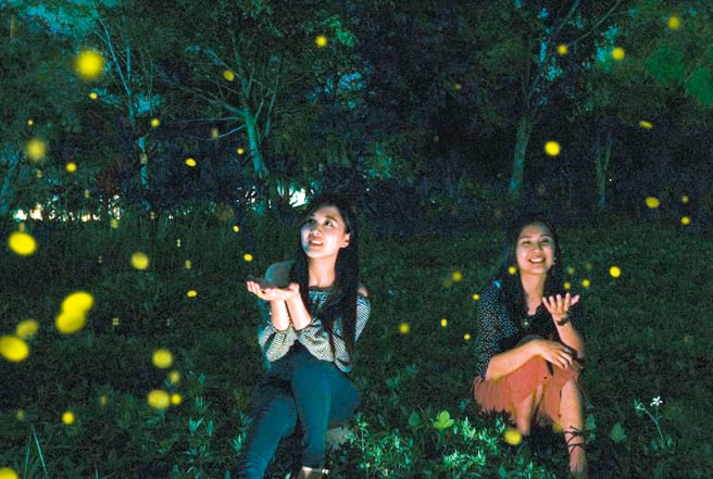 理想大地推「春季赏萤」，带着大家寻找火金姑、夜游萤光闪闪最美秘境。图／业者提供