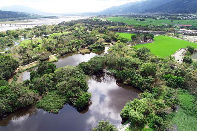 面積約6.4公頃的關山人工溼地，每天可處理汙水量達5000噸。（台東縣環保局提供／莊哲權台東傳真）