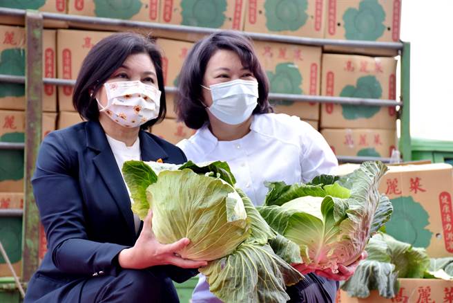 嘉义市长黄敏惠号召市府员工採购云林高丽菜，今22日云林县长张丽善亲自到市府表达感谢。（吕妍庭摄）