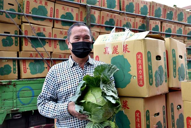 云林菜农梁灿鸿指去年年底高丽菜价高，结果一开放高丽菜进口，价格就被打乱。（吕妍庭摄）