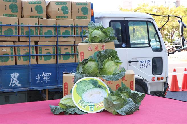 嘉义市政府等单位向云林县採购2万公斤1000箱高丽菜，今菜车将高丽菜送抵市府门口。（吕妍庭摄）