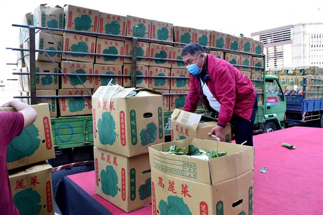 嘉义市政府等单位向云林县採购2万公斤1000箱高丽菜，今菜车将高丽菜送抵市府门口。（吕妍庭摄）