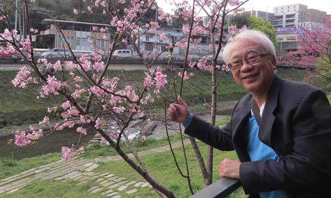 李利國》日本櫻花原來是唐朝時移植過去(照片來源：作者提供)