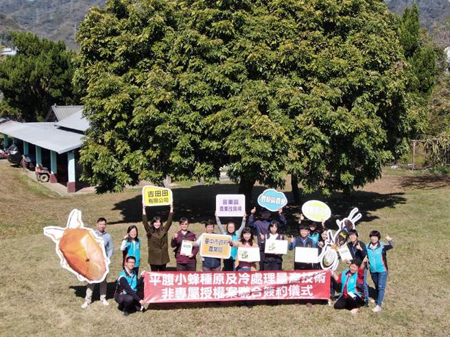 中市申請平腹小蜂技術非專屬授權。（農業局提供／陳淑娥台中傳真）