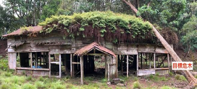 八通关太鲁那斯驻在所，屋顶遭风倒木重压，玉管处进行抢救。（乐叶树艺公司提供／廖志晃南投传真）