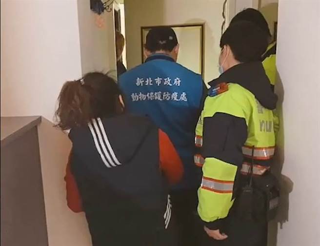 新北市動保處獲報會同中和警分局警員前往查緝，將依違反《動物保護法》開罰，最高將開罰7.5萬元罰緩。（動保處提供）