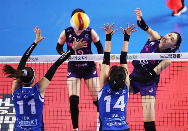韩国女排V联赛。（达志影像）