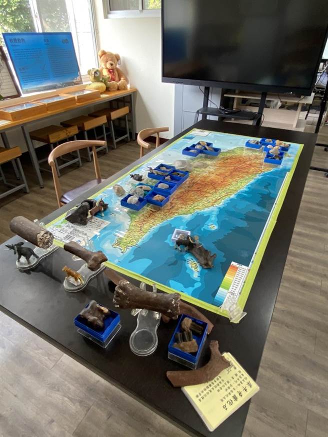 嘉义县大吉国中在开学日这天，特别安排化石展迎接师生返校。（大吉国中提供∕吕妍庭嘉义传真）