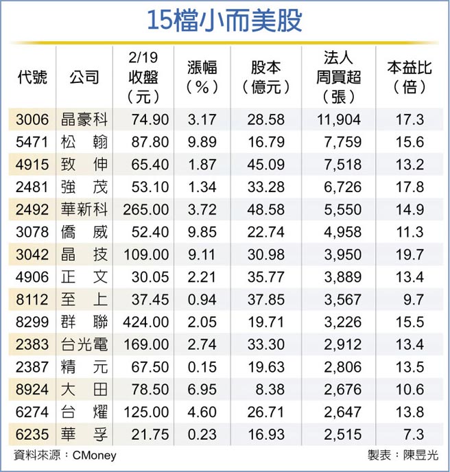 15檔小而美股