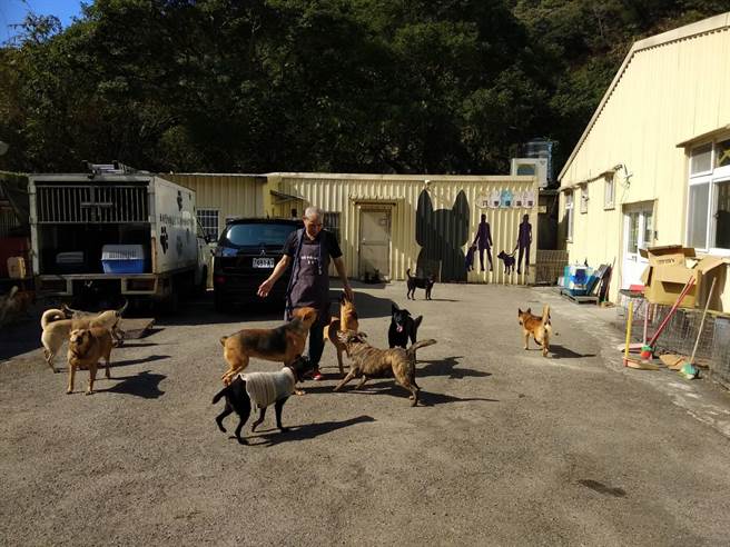 每天最期待出外自由奔跑曬太陽。（動保處提供／戴上容新北傳真）