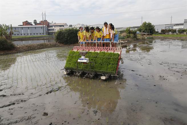 大里農會23日舉行「作伙插秧趣」活動，除了學習人工插秧，大里國小的小朋友們，也坐上插秧機，了解現代機械化的插秧方式。（大里農會提供／黃國峰台中傳真）