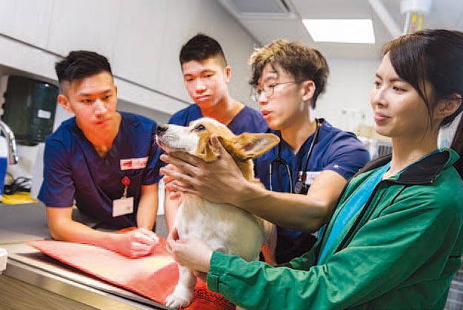 香港城市大学是香港唯一与美国常春藤大学合作、授与双联学士学位，将来台举办线上面试会。图／香港城大提供