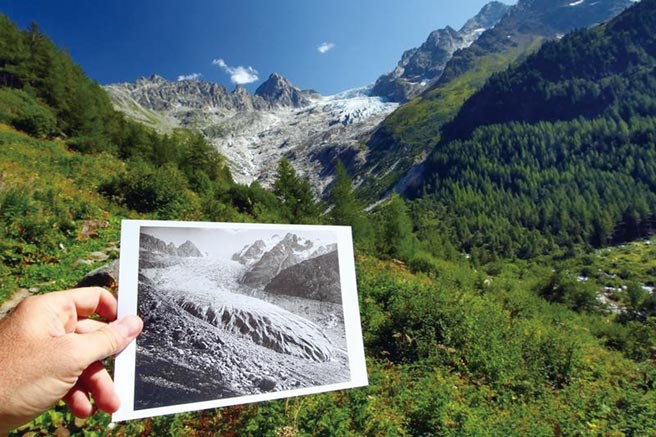 le charme认养座头鲸，减碳让地球更美丽。图／Reuters提供