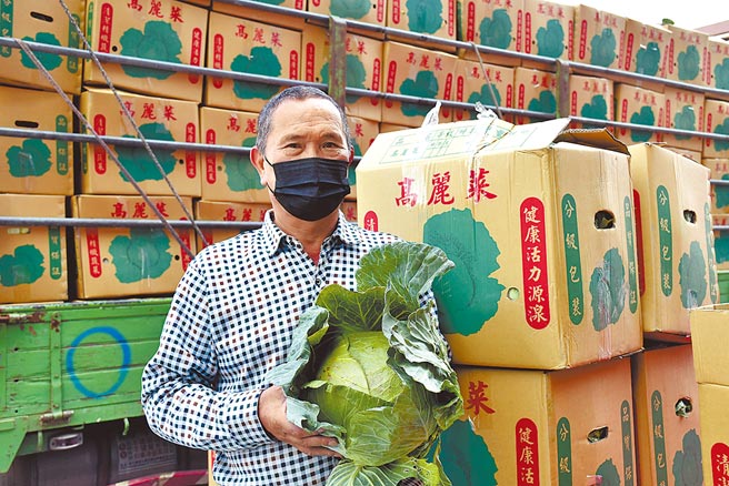 高丽菜价格低迷，云林菜农梁灿鸿指去年年底高丽菜价格高，结果一开放高丽菜进口，市场机制就被打乱。（吕妍庭摄）