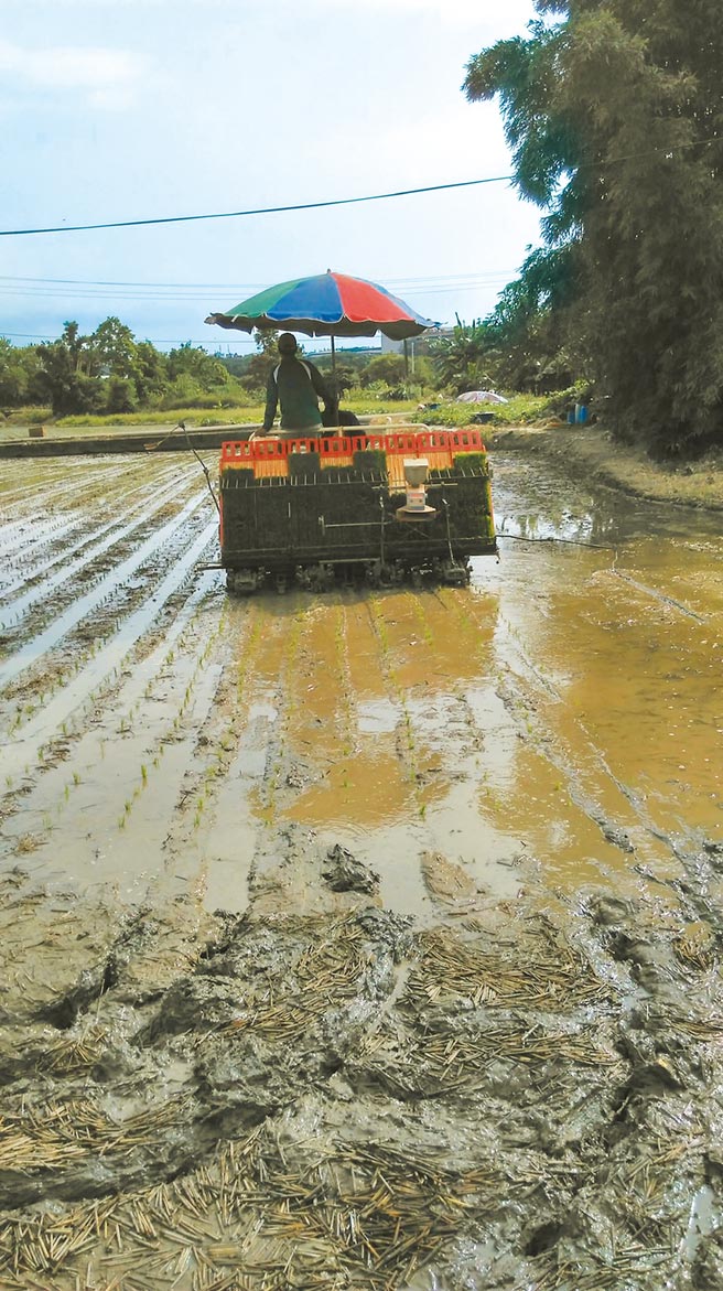 停灌補償機制有缺失，代耕業者坦言不僅要承擔家庭經濟壓力，還要面對地主的謾罵及侮辱。（民眾提供／姜霏桃園傳真）