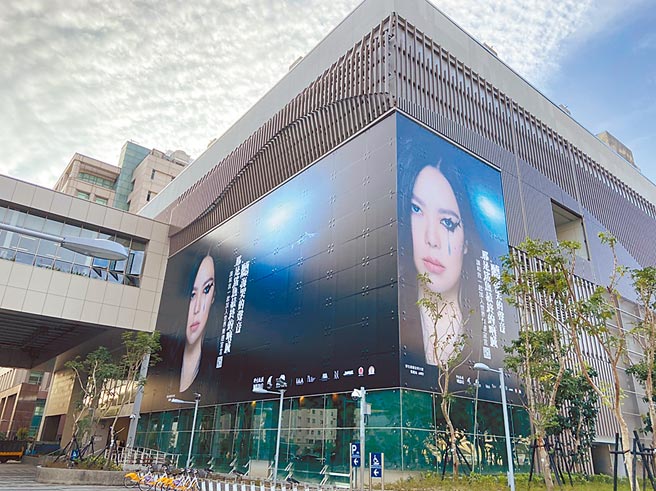 台中捷運綠線第一波站體廣告為歌手阿妹的公益廣告，十分吸睛。（中捷公司提供／林欣儀台中傳真）