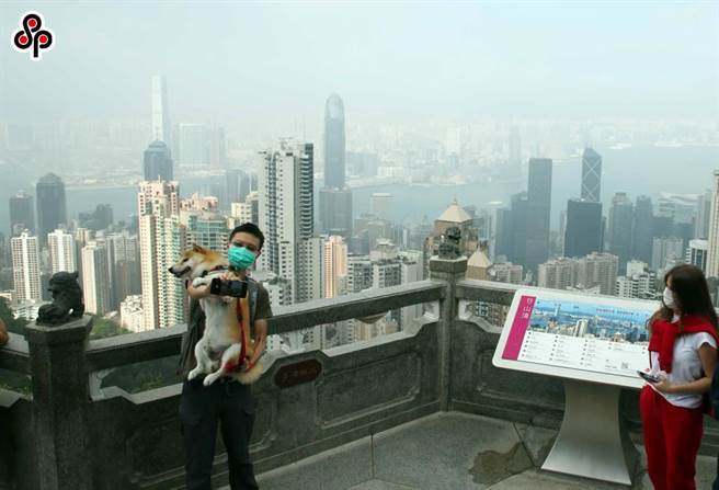 港区代表委员建议便利港澳居民购房转入大陆资金。图为。图为去年游客在香港太平山顶。（中新社）