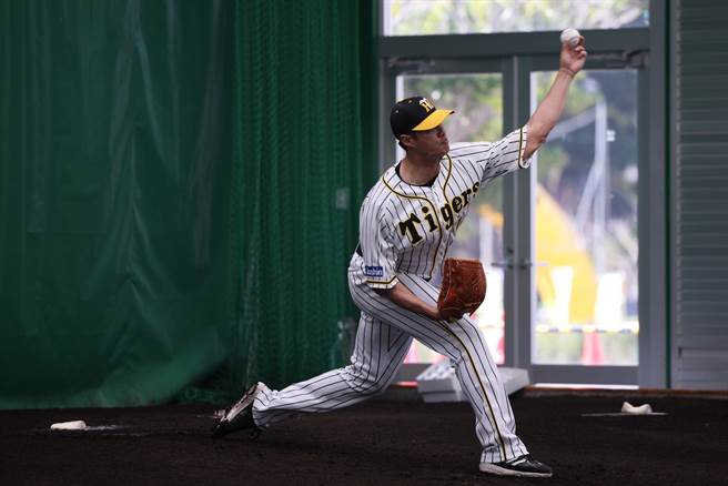 陈伟殷是阪神虎开幕战先发人选之一。（资料照／截自阪神虎官网）