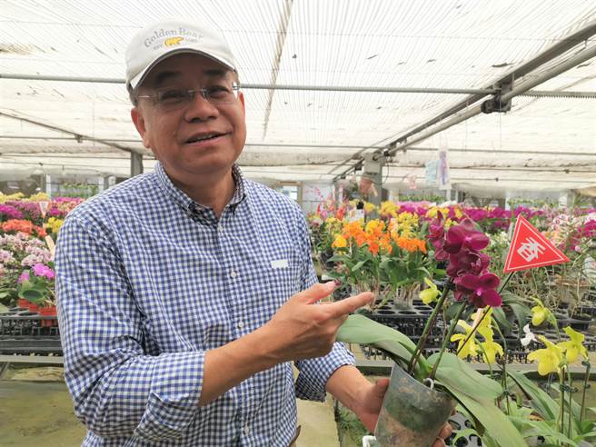 吴明坤表示，多举办中小型兰展有助带动兰花消费市场。（刘秀芬摄）