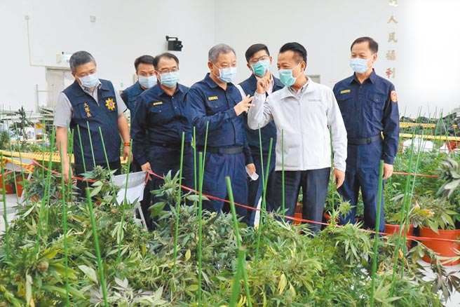 嘉义检警破获史上最大宗大麻栽种制造案。嘉义县警察局长廖训诚（右四），23日向慰勉警方办案辛劳的嘉义县长翁章梁（右二）说明案情。（张毓翎摄）