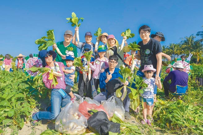 美浓菸叶产业结束后，美浓区农会辅导农民将菸叶閒置的田地推动改种白玉萝卜。（美浓区农会提供／林雅惠高雄传真）
