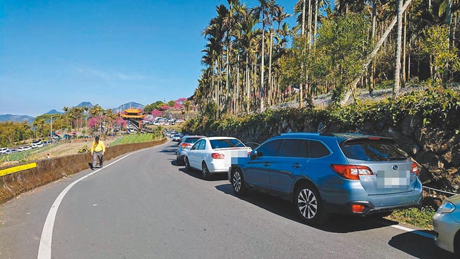 嘉县番路乡弥陀禅寺重瓣绯寒樱盛开，吸引不少民眾，因道路狭小，警方将加强取缔路边随意停车车辆。（中埔分局提供／张亦惠嘉县传真）