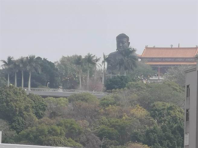 大佛如入五里雾。（吴敏菁摄）