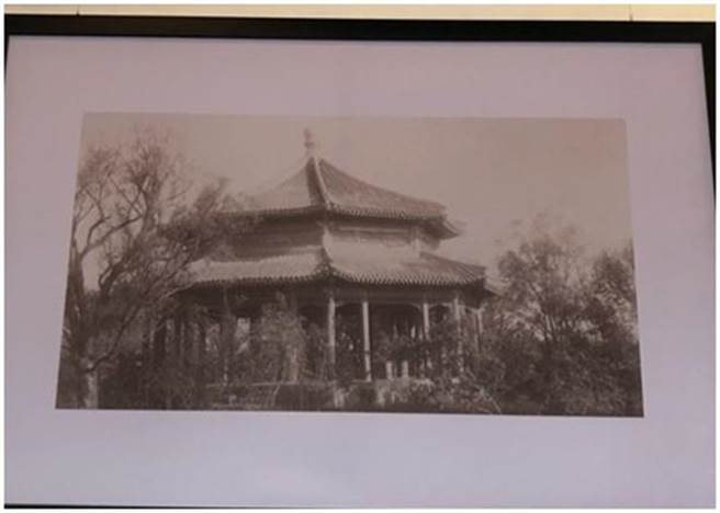 圆明园顺木天。（东网）