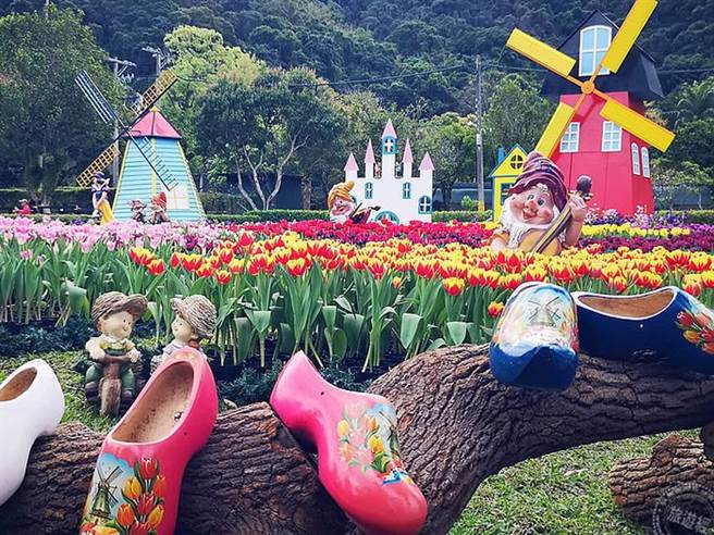 士林官邸郁金香展开展(摄影：洪书瑱)