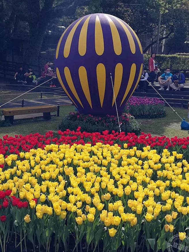 土耳其精典热气场景与郁金香带您秒飞到土耳其