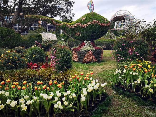 士林官邸郁金香展开展 11万株花海展异国风情（摄影：洪书瑱）