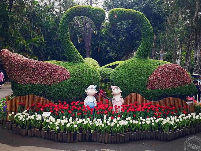 士林官邸郁金香展开展 11万株花海展异国风情（摄影：洪书瑱）