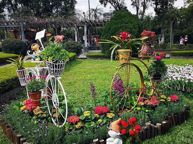 士林官邸郁金香展开展 11万株花海展异国风情（摄影：洪书瑱）