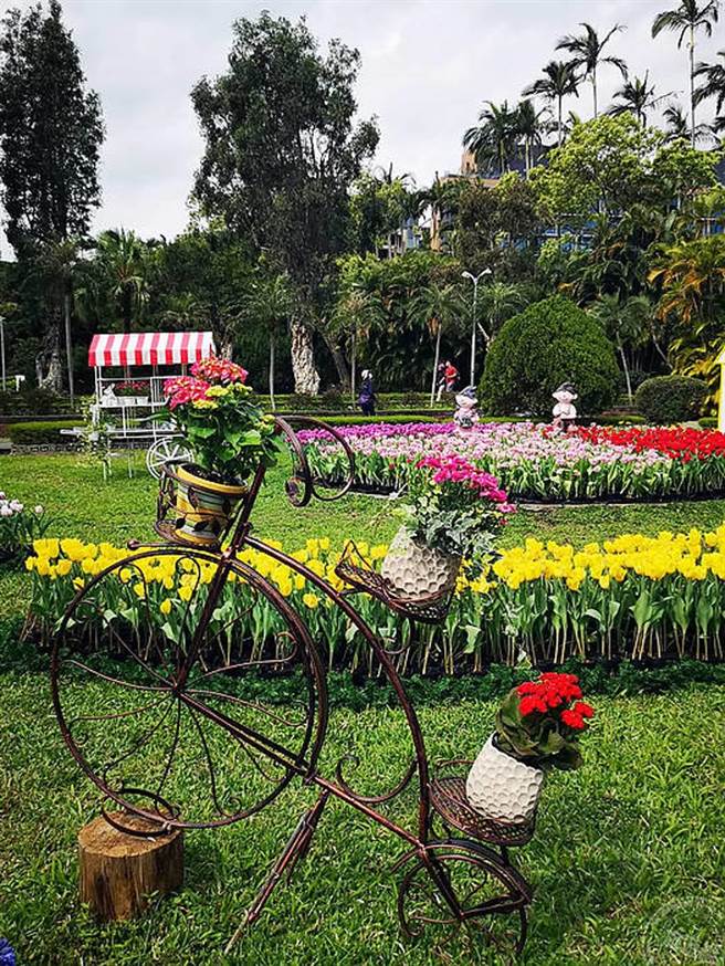 士林官邸郁金香展开展 11万株花海展异国风情（摄影：洪书瑱）