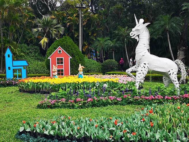 士林官邸郁金香展开展 11万株花海展异国风情（摄影：洪书瑱）