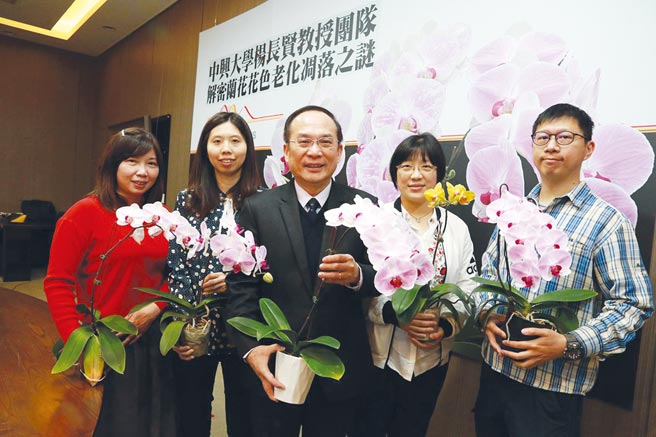 中兴大学副校长、生物科技学研究所讲座教授杨长贤（中）所领导的团队解开兰花花色及老化之谜。图／中兴大学提供