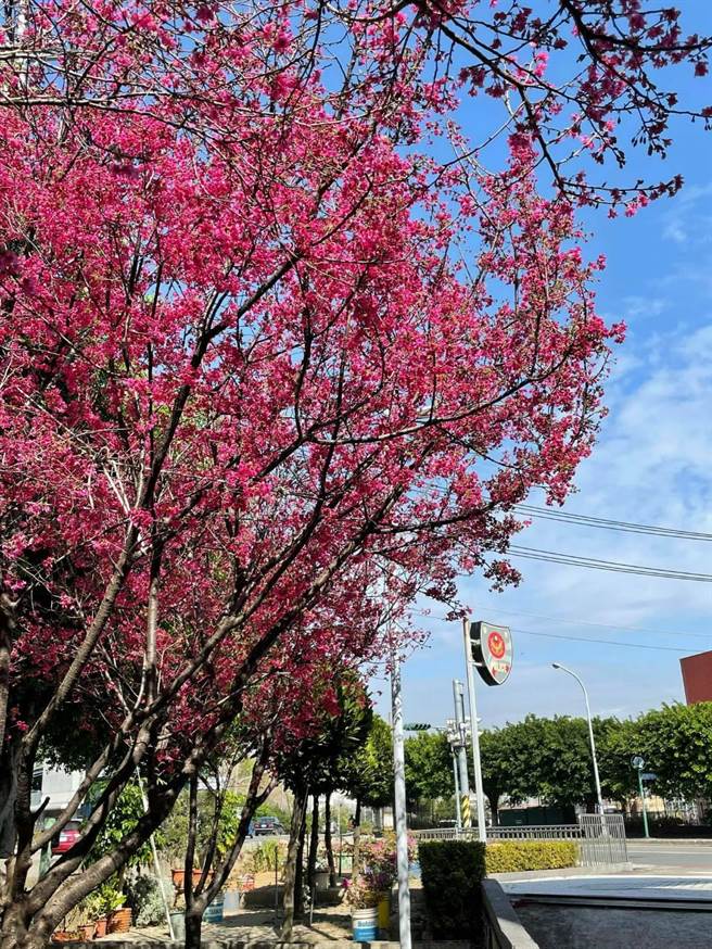 工业区派出所欢迎不论是在工业区上班或正好路过的民眾可以放慢步伐，一同分享春日花开的喜悦。（民眾提供／卢金足台中传真）