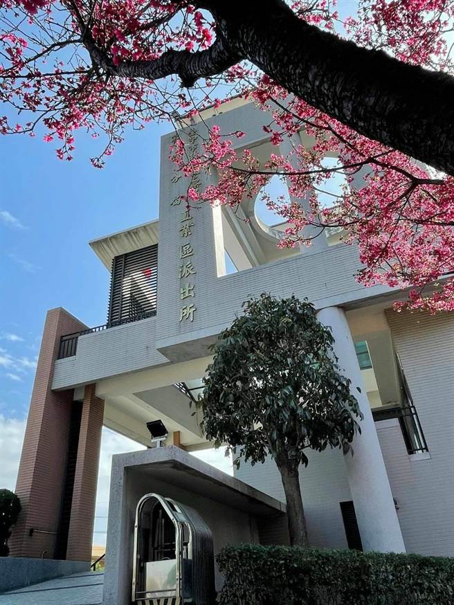 台中工业区派出所盛开粉红樱花成为赏樱秘境。（民眾提供／卢金足台中传真）