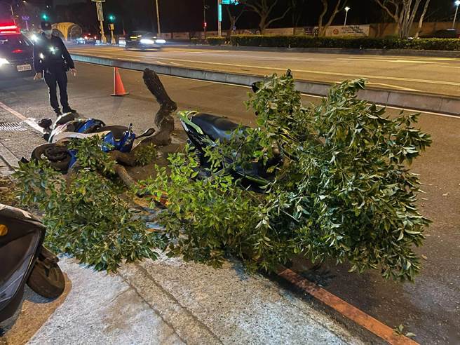 台中市府獲報後，連夜請委外園藝廠商移走，避免影響交通。（民眾提供／盧金足台中傳真）
