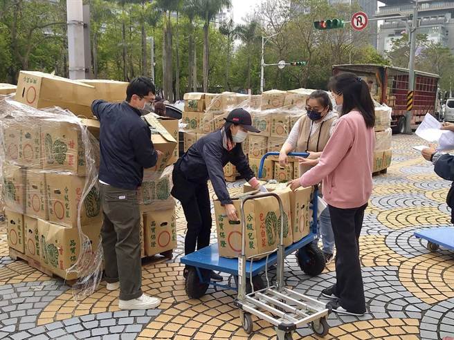 高丽菜盛产价格暴跌 北市府员工以团购替农民困境解套。（北市市场处提供／吴康玮台北传真）