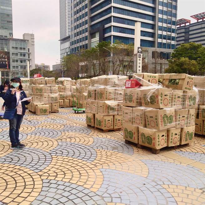 高丽菜盛产价格暴跌 北市府员工以团购替农民困境解套。（北市市场处提供／吴康玮台北传真）