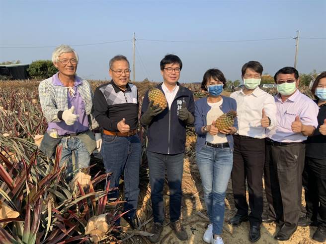 高雄市長陳其邁26日下午視察大樹鳳梨田，表示會擴展更多多元的外銷通路，來分散中國市場對台灣的衝擊。(林雅惠攝)