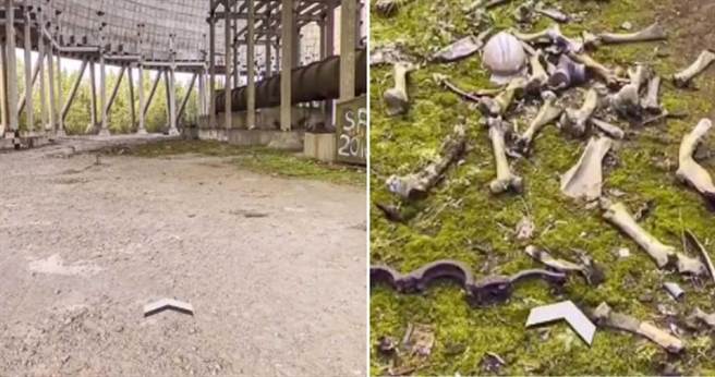 网友透过Google地图查看车诺比街景时发现遗骸。（图／翻摄自googlemapsfun TikTok）