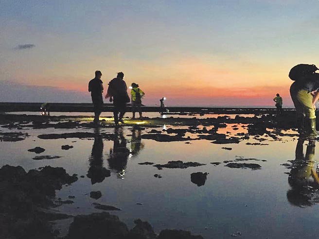 中兴大学环工系教授庄秉洁认为，会选择在观塘港设置的理由仅为赶在2025年达成「532」的能源配比。学界、环团站出力挺藻礁公投，呼吁全民一起连署，让藻礁公投成案。（珍爱桃园藻礁提供／林良齐台北传真）